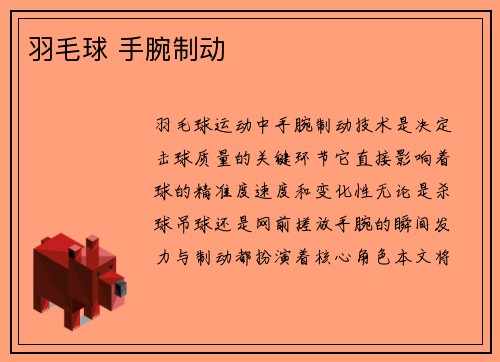 羽毛球 手腕制动